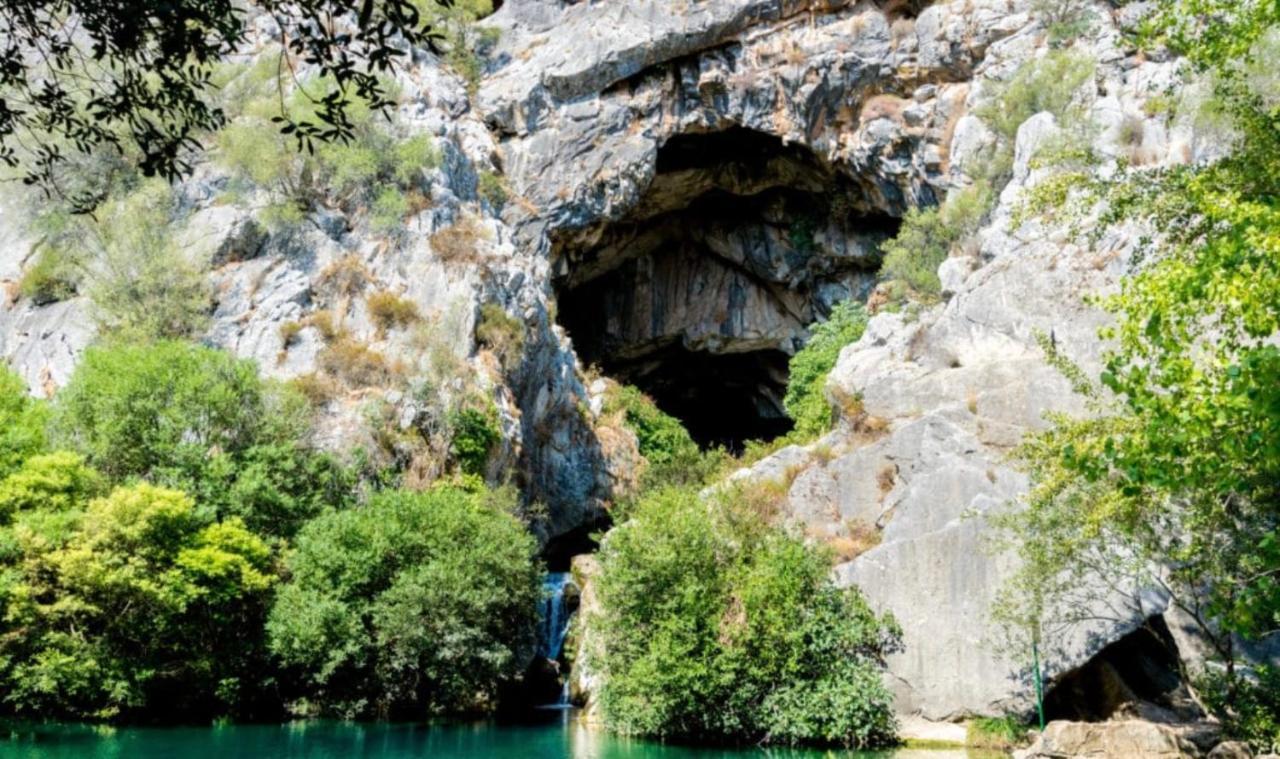 Casa Ana Hébergement de vacances Benaoján